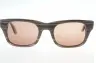 ピエールアイウェア Pierre Eyewear ERIC NG46