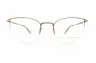 DELHIPNE GOL TITANIUM