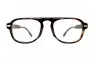 Shinto シント TORTOISE