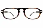 Shinto シント TORTOISE