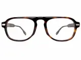 Shinto シント TORTOISE