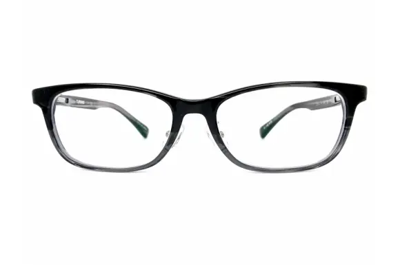 T-173 02 谷口眼鏡