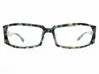 BTY9203 Equation Blaise