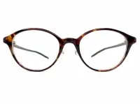 NP-740 6571 アンバーデミ