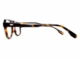 Shinto シント TORTOISE